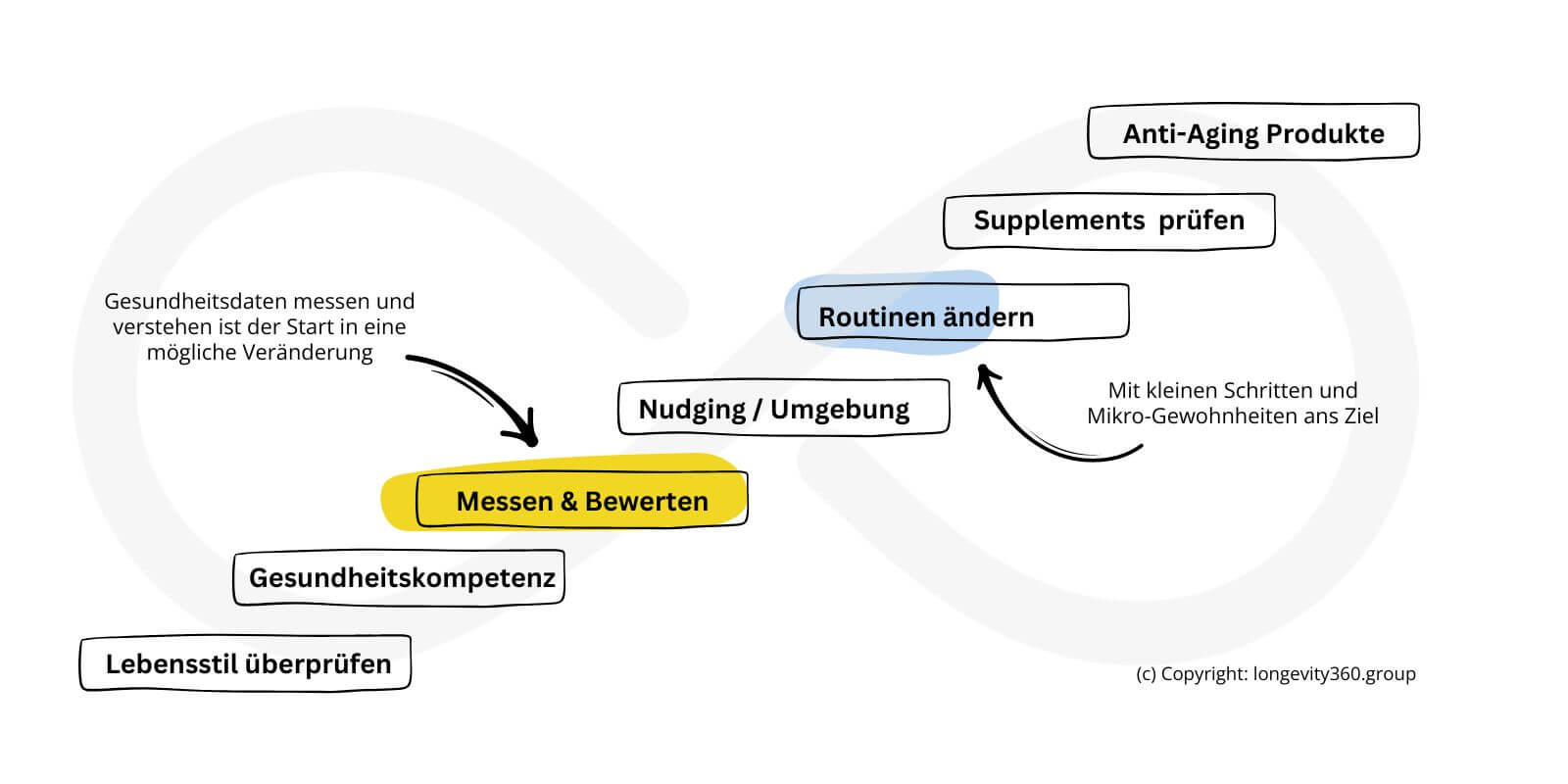 longevity360-Modell-7-schritte-plan-peroenliche-longevity-umsetzung