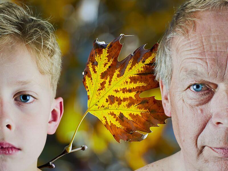 longevity-epigenetic-clock-horvath