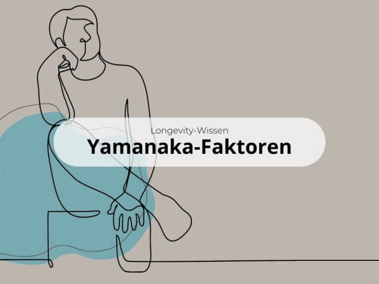 Verjüngungskur für Zellen? Die erstaunlichen Yamanaka-Faktoren