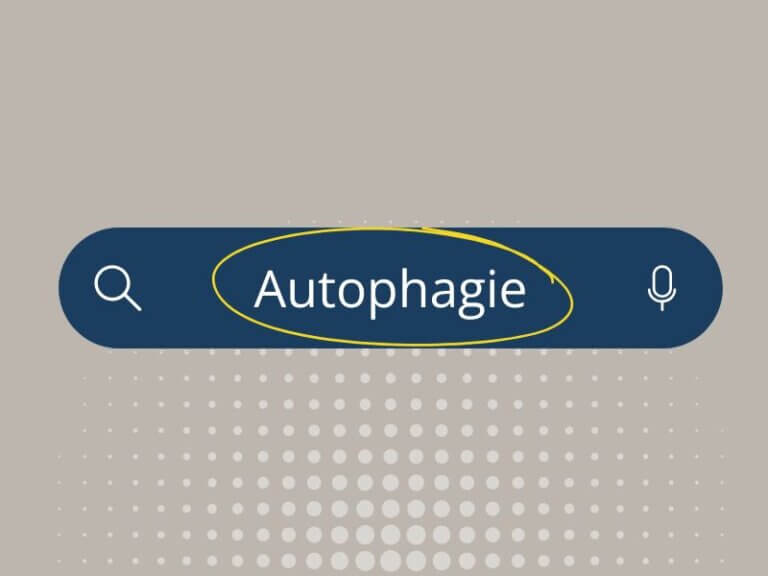 Zelluläre Selbstreinigung für ein längeres Leben – was wir über Autophagie wissen