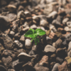 Testkit: Resilienz-Check – Bild 2