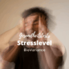 Testkit: Stresslevel