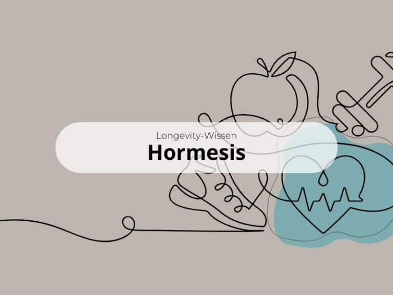 Hormesis: Kleine Herausforderungen für ein längeres Leben